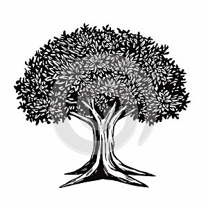 Tree Vector Illustration Logo Template photo
