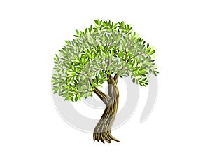 Tree vector illustration, nature design elements isolated on white
