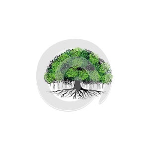 tree vector illustration. roots of banyan tree. mangrove plant