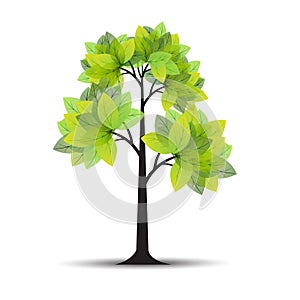 Tree vector template or tree symbol