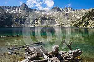 Tree in the water of the Black Lake, Aiguestortes National Park