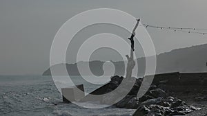 Tree at water's edge in Sitges, near Barcelona, Spain