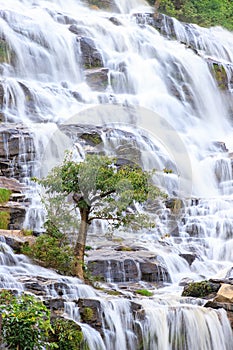 Tree on waterfall background, Mae Ya Waterfall, Doi Inthanon, Chiang Mai, Thailand