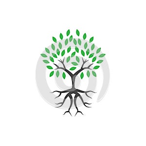 Tree wellness logo icon design template vector illustration