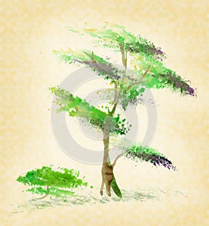 Tree on a white background