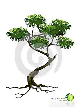 Tree on white background