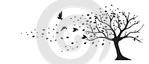 Tree wind leaves birds vector, wall decals, wall decor. Black Art design isolated on white background.