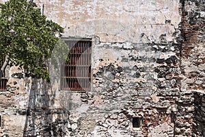 Tree, window and wall Cartagena, Colombia