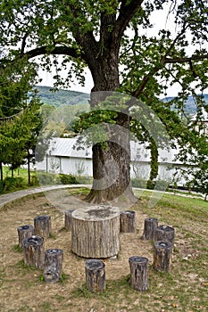 Tree of wishes