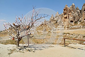 Tree Of Wishes with clay pots in Cappadocia. Goreme, Nevsehir Province, Cappadocia, Central Anatolia, Turkey