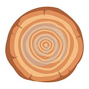 Tree wood annular ring