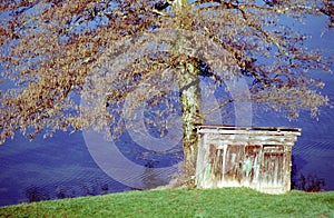 Tree and wooden shed on a background of blue water