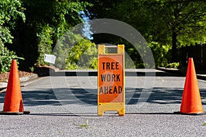 Tree Work Ahead Sign with Two Traffic Cones