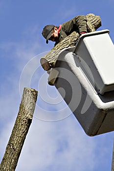 Tree Worker