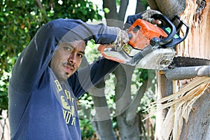 Tree Worker Saws A Broken Tree Limb