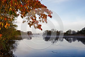 Tree with yellow and orange leaf over blue calm river. Fog in the background. Autumn fall season. River Corrib, Galway, Ireland.