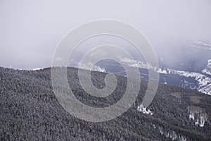Treecovered Mountain in the clouds photo