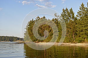 Treed coastline of Russell Island, British Columbia