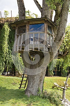 Treehouse