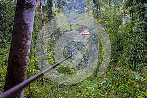 Treehouse deep in a jungle