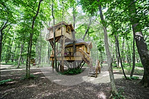 Treehouse in forrest