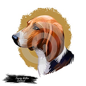 Treeing Walker Coonhound or Tennessee Lead dog breed portrait isolated. Digital art illustration, watercolor drawing of hand drawn