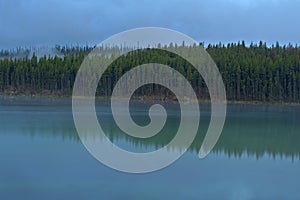 Treeline reflection in Herbert Lake, Banff National Park