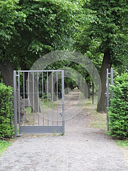 Treelined path and open gate