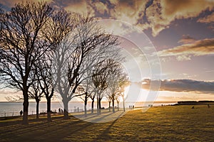 Treelined promenade near to sunset as people walk along the seafront silhouetted by the low sun and the trees are casting shadows.