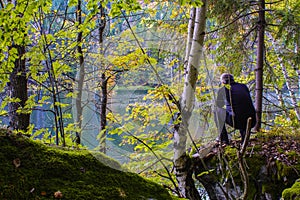 Through the trees