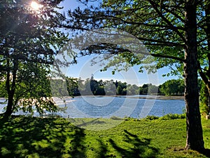 Trees of Albert Erb Conservation Area