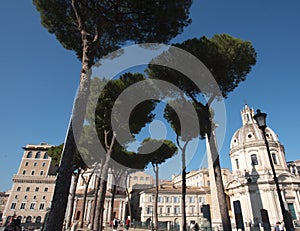 Trees along a gravel path in Rome leading to Piazza Venetia