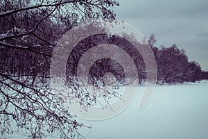 Trees along the river covered with snow. Winter landscape at the cold river in the forest