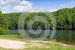 Trees along the shore of Lake Marburg, at Codorus State Park, Pennsylvania.