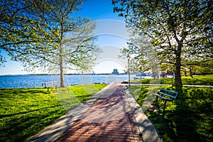 Trees along a walkway at Canton Waterfront Park, in Baltimore, M