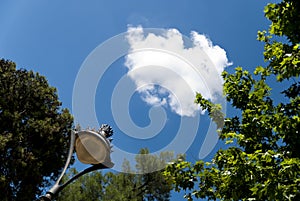 Trees and ancient lamppost with clouds in the background