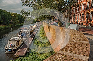 Trees, aquatic vegetation and boats anchored in pier on the bank of the river Dommel and blue sky in s-Hertogenbosch.