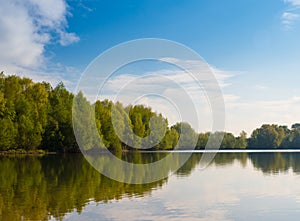 Trees around the lake in springtime