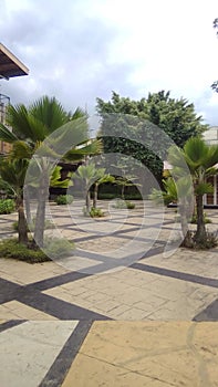 Trees Around Shopping Center