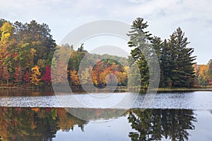 Trees in autumn color on a lake with a small island on an overcast morning