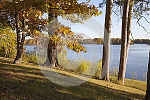 Trees in autumn color on shore of beautiful lake in northern Minnesota