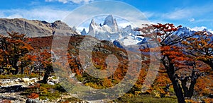 Trees with autumn colors and Mount Fitz Roy, Patagonia, Argentina photo