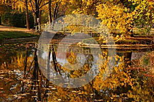 Trees in autumn colors and reflections in water