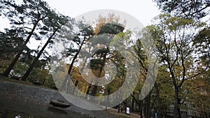 Trees in autumn park. Yellow, green, gold leaf. Not working fountain. Panorama