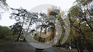 Trees in autumn park. Yellow, green, gold leaf. Scenery. Not working fountain.