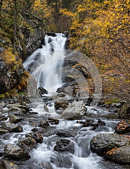 Pollos river Comapedrosa nature park photo