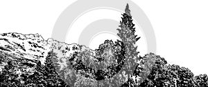 Trees and background mountains panoramic isolated graphic