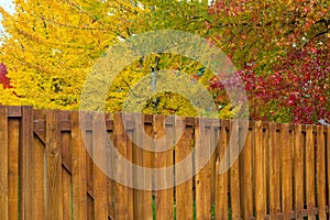 Trees by Backyard Wood Fence in Fall Colors