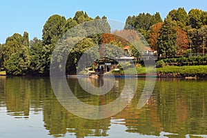 Trees on the bank of Po river in Turin, Italy.