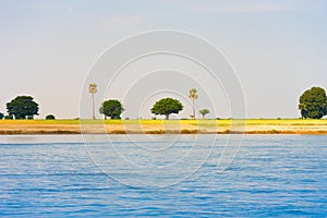 Trees on the bank of the river Irrawaddy, Mandalay, Myanmar, Burma. Copy space for text.
